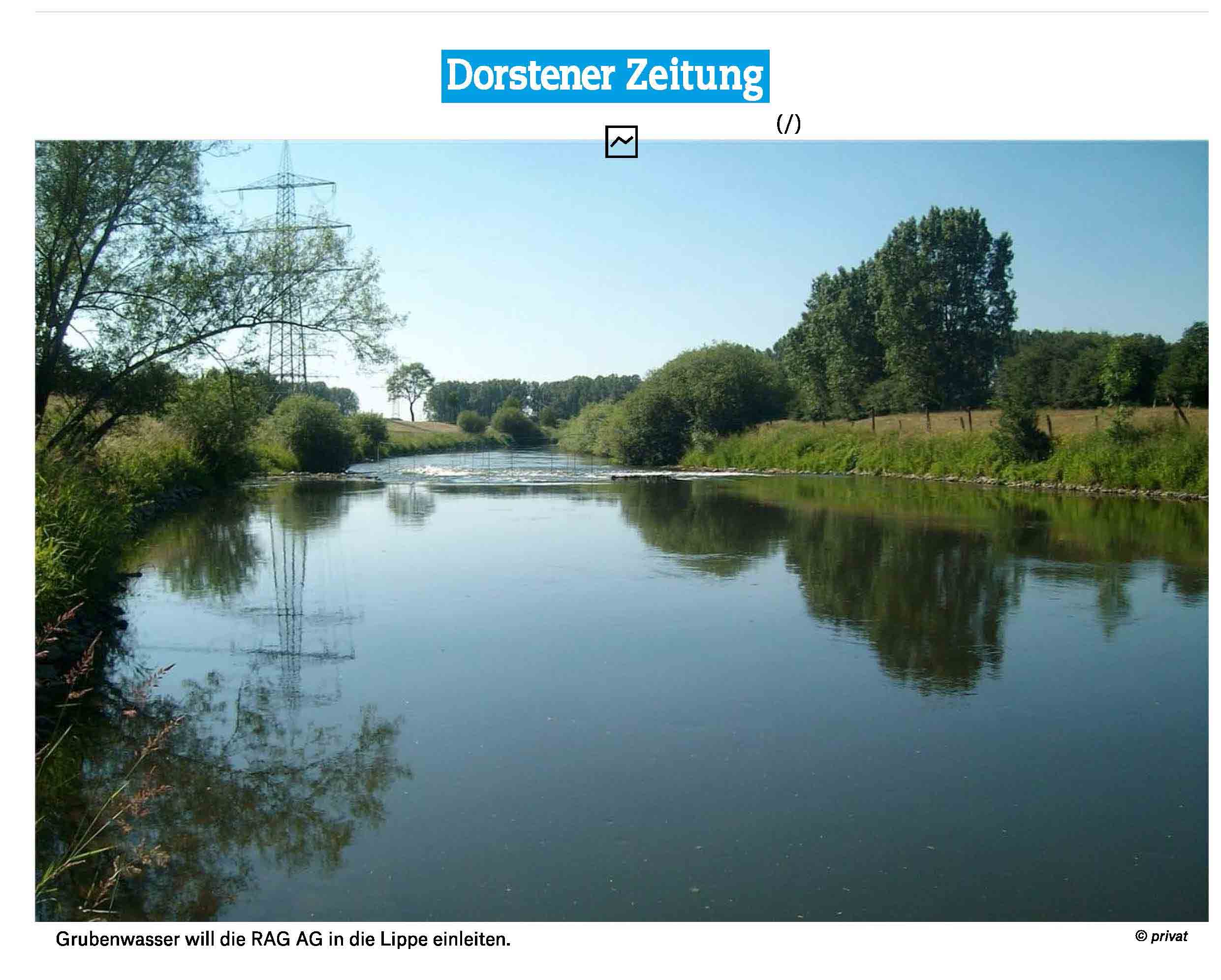 dz1 Seite 1